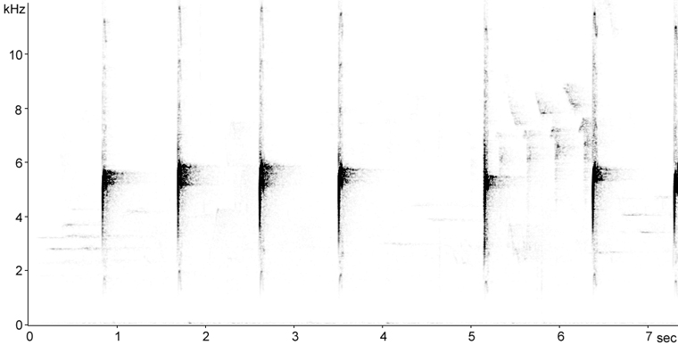 Sonogram of White-throated Sparrow call
