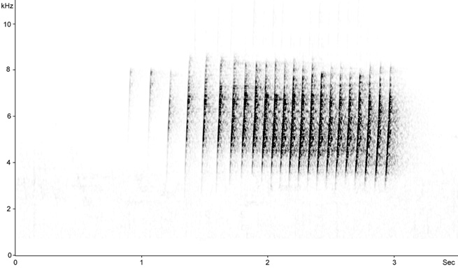 Sonogram of Wood Warbler song