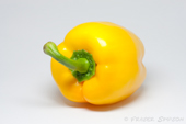 Yellow Pepper