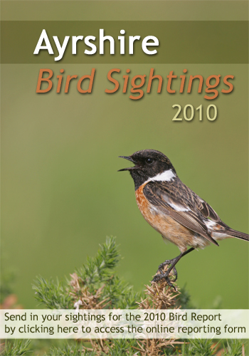 Send in your sightings for the Ayrshire Bird Report 2010