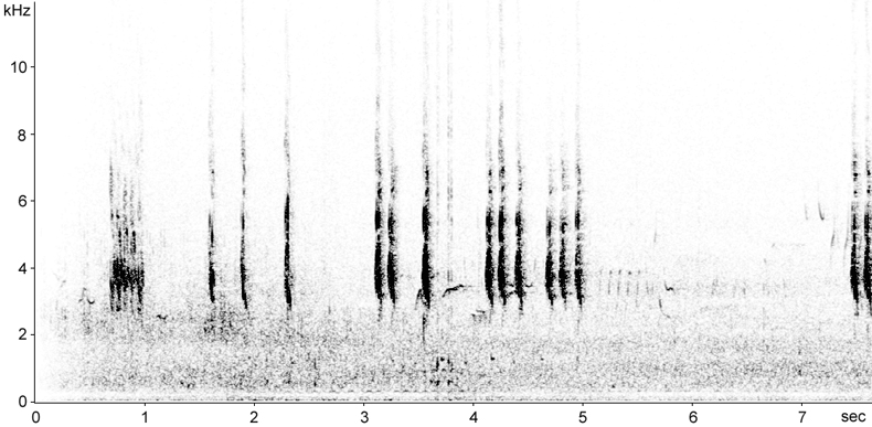 Sonogram of Arctic Redpoll calls