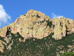 Chiricahua Mountains © 2006  F. S. Simpson