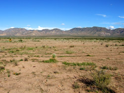 Chihuahuan Desert © 2006  F. S. Simpson