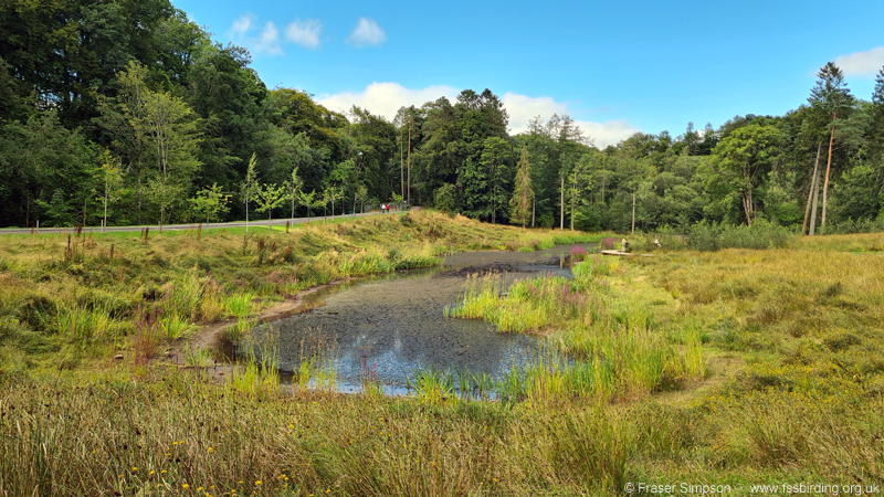 Restored pond, Dean Castle Country Park � Fraser Simpson
