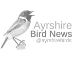 Ayrshire Bird News