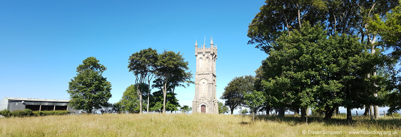 Wallace's Monument, Barnweil Hill, Ayrshire © Fraser Simpson 