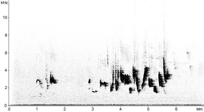 Sonogram of Barred Warbler song