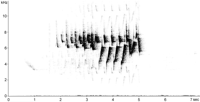 Sonogram of Black-and-white Warbler song