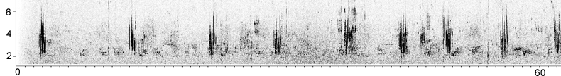 Sonogram of Black-eared Wheatear song