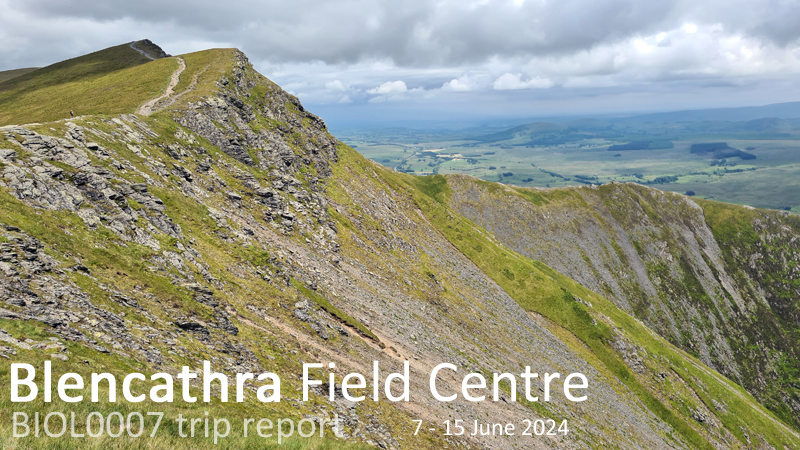 New trip report from Blencathra Field Centre, 7-15 June 2024