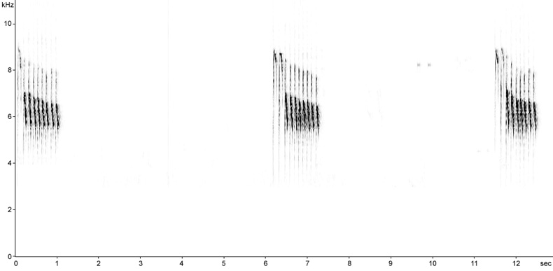 Sonogram of Blue Tit song