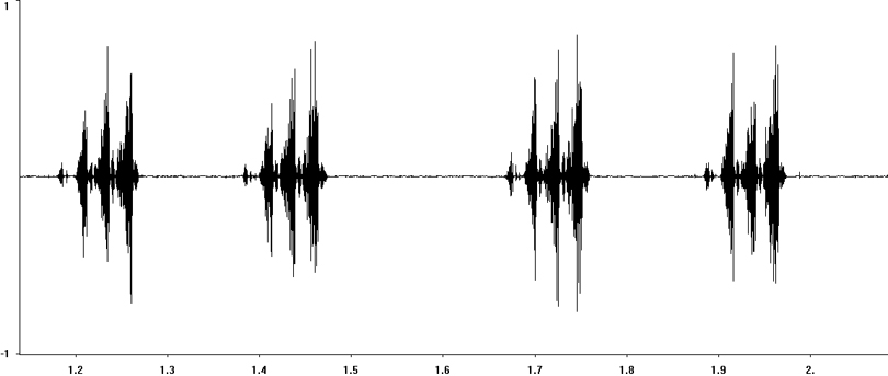 Oscillogram of Bog Bush-cricket stridulation