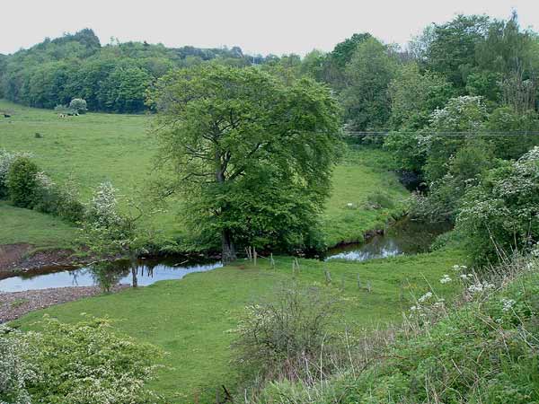 Point 1. View from bridge over Carmel Water: Warblers, Long-tailed Tit, Bullfinch, Great Spotted Woodpecker, Song Thrush, etc. (Knockentiber-Springside disused railway line) © Fraser Simpson