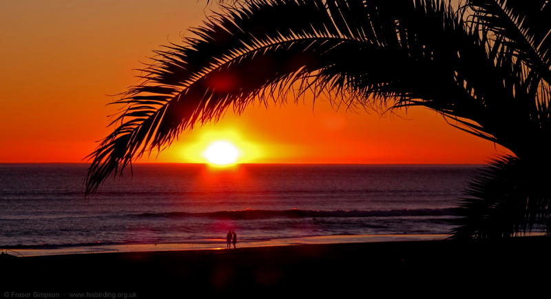 Playa de Zahara sunset © Fraser Simpson