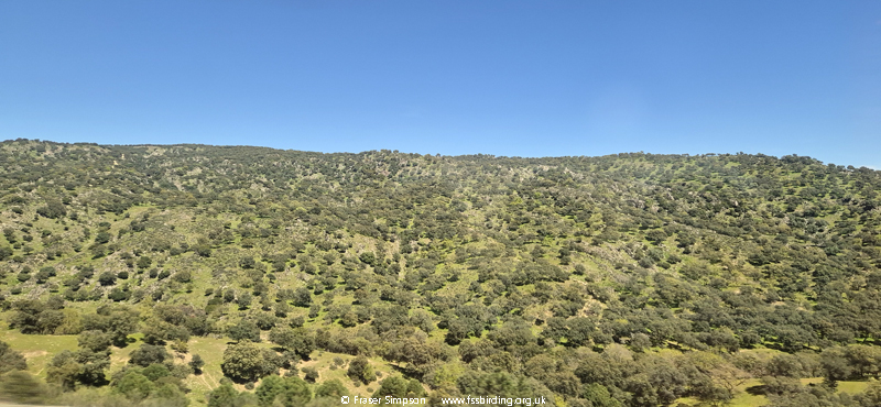 View frin the Madrid to Malaga train � Fraser Simpson