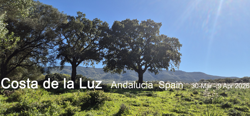 New trip report from southwest Spain, 30-Mar to 9-Apr 2026