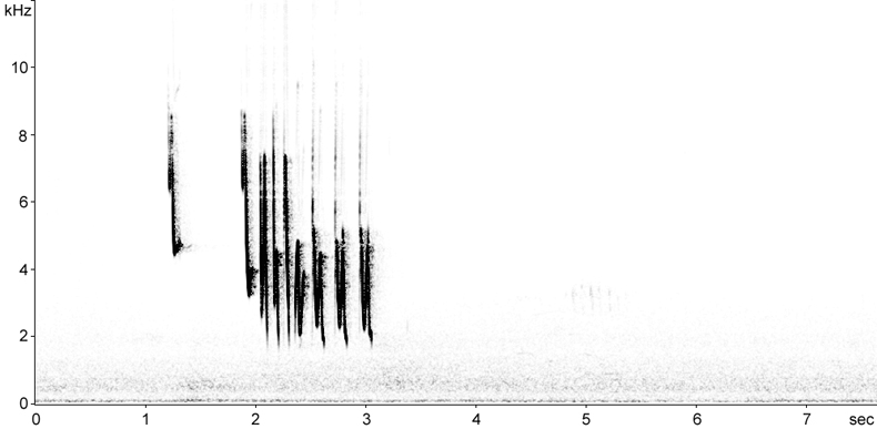 Sonogram of Cetti's Warbler song