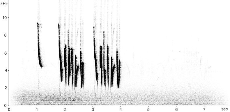 Sonogram of Cetti's Warbler song