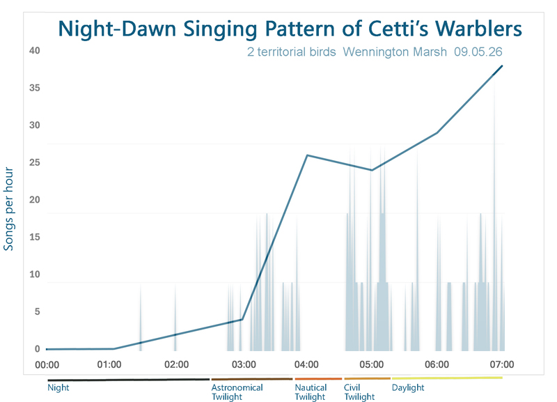     Night to Dawn Singing Pattern of two territorial Cetti's Warbler, Wennington Marsh, 09.05.26 � Fraser Simpson