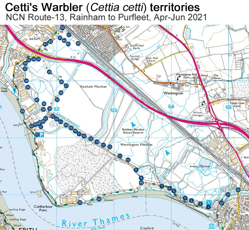 Mapping of 62 Cetti's Warbler territories on my cycle to and from work, Rainham-Purfleet (NCN Route-13), April to June 