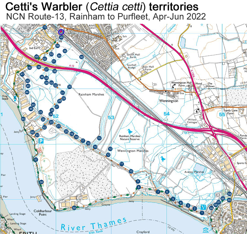 Mapping of 69 Cetti's Warbler territories on my cycle to and from work, Rainham-Purfleet (NCN Route-13), April to June 