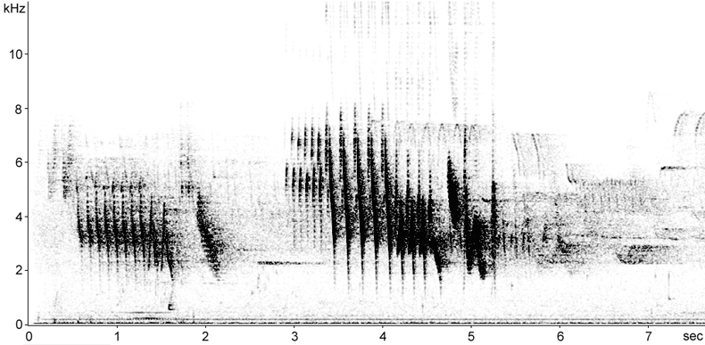 Sonogram of Chaffinch song with terminal 'keek'