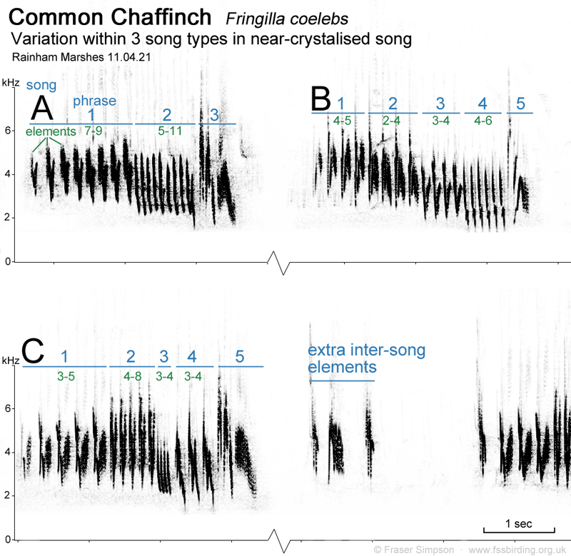 Sonogram of Chaffinch with three song types