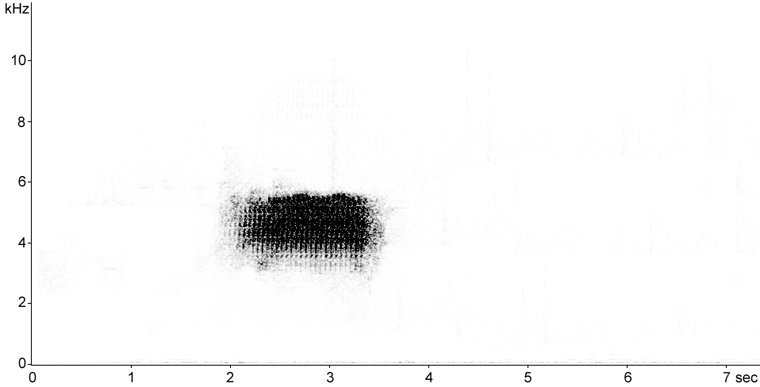 Sonogram of Chipping Sparrow song