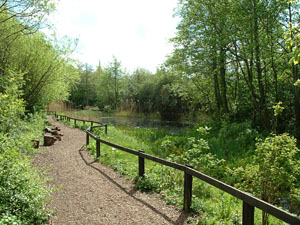 Camley Street Natural Park