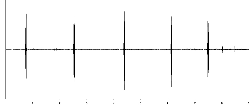 Oscillogram of Dark Bush-cricket stridulation