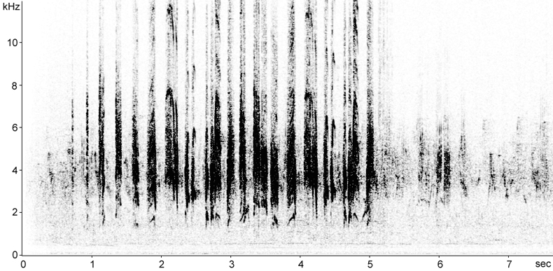 Sonogram of Eastern Olivaceous Warbler song