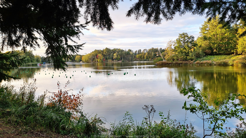 Main lake, Center Parcs Elveden Forest, Suffolk © Fraser Simpson 