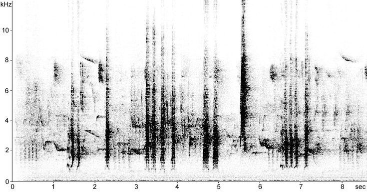 Sonogram of Fieldfare song