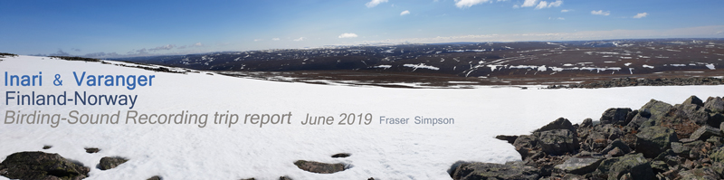 New trip report from Finland & Norway 17-27 June 2019