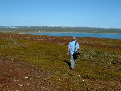 Walking on the tundra