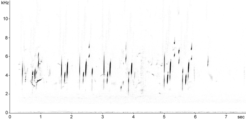Sonogram of Goldfinch flight calls