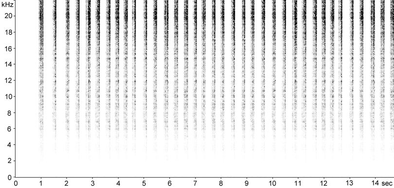 Sonogram of Grey Bush-cricket stridulation [greybushcricket117399ecut]