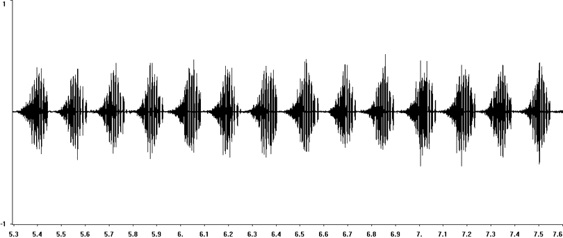 Oscillogram of Heath Grasshopper stridulation