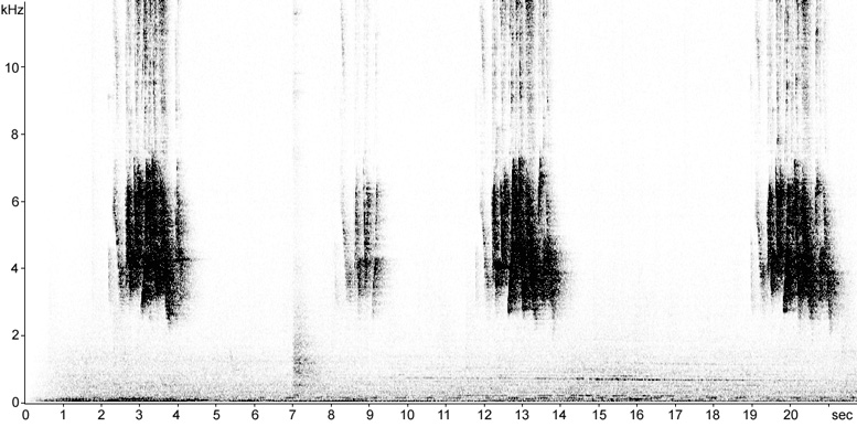 Sonogram of House Bunting song
