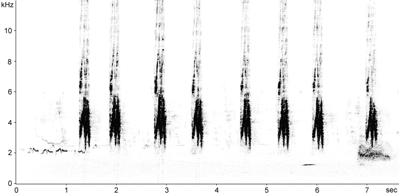 Sonogram of House Sparrow song
