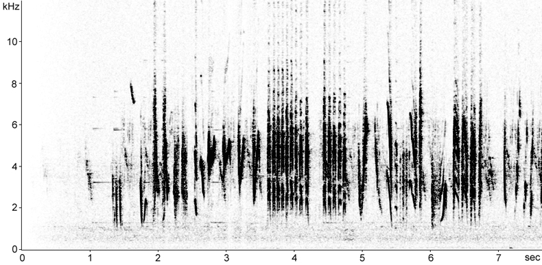 Sonogram of Icterine Warbler song