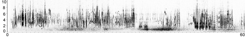 Sonogram of Icterine Warbler song