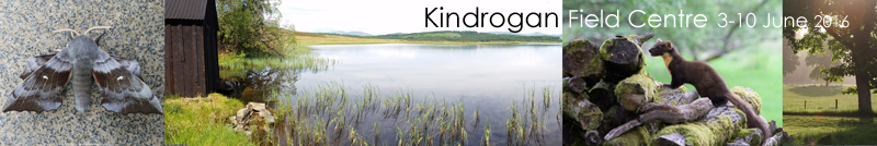 Kindrogan Trip Report 3-10 June 2016 � Fraser Simpson 