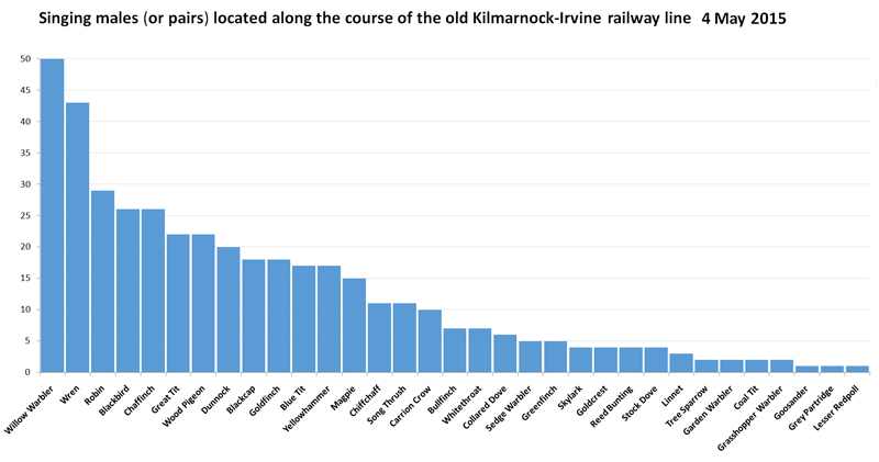 Singing males, Kilmarnock-Irvine disused railway line (NCR-73), Ayrshire � Fraser Simpson