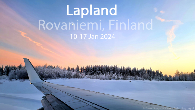New trip report from Rovaniemi, Lapland, Finland, 10-17 January 2024