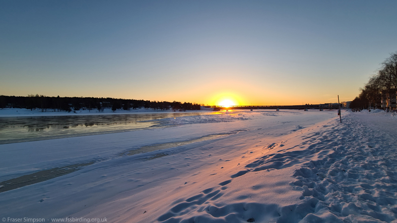 View from Rovaniemi Airport at sunset © Fraser Simpson 