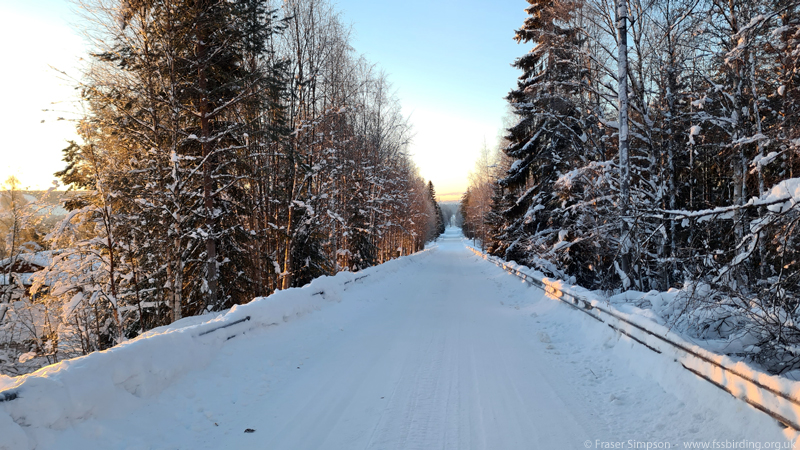 Road to Syväsenvaara, Rovaniemi © Fraser Simpson 