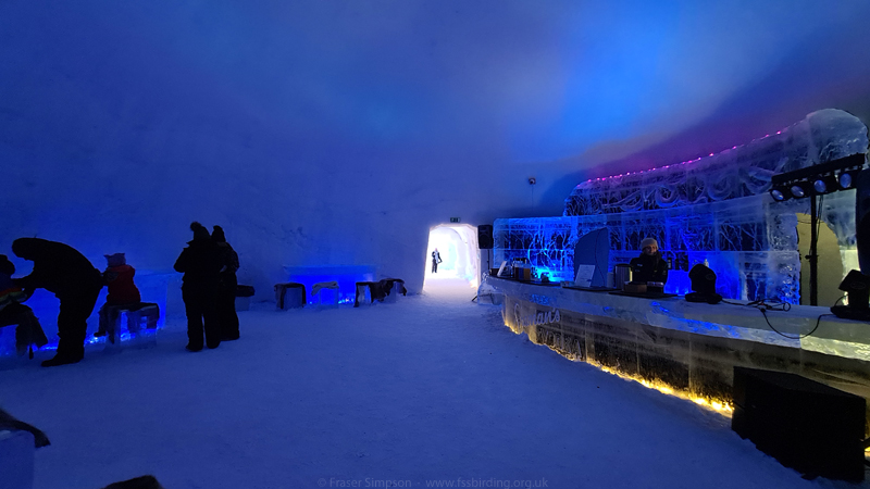 Ice bar, Snowman World, Rovaniemi © Fraser Simpson 