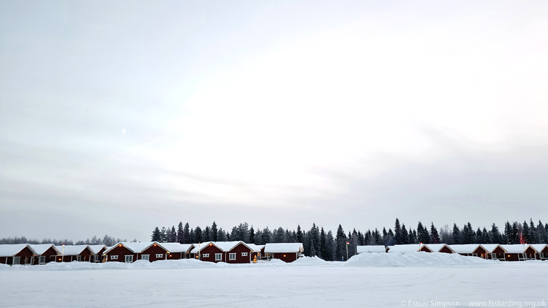 Cottages at Santa Claus Holiday Village, Rovaniemi © Fraser Simpson 