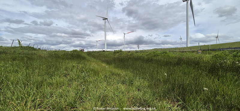 La Zarzuela, Andaluc�a, Spain � Fraser Simpson